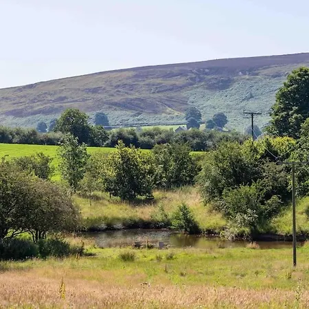 Pond Holiday home