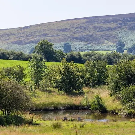 Pond * Rosedale Abbey