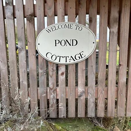 Pond