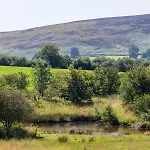 Beck * Rosedale Abbey